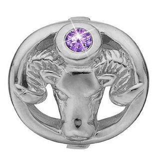 Christina Collect Sterling Silver Aries Zodiac with Purple Stone (Mar 20 - Apr 19)